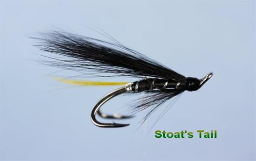Stoat's Tail